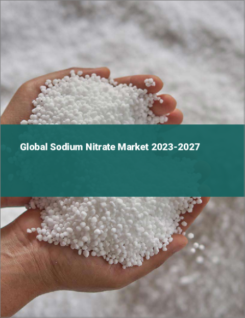 表紙：硝酸ナトリウムの世界市場 2023-2027