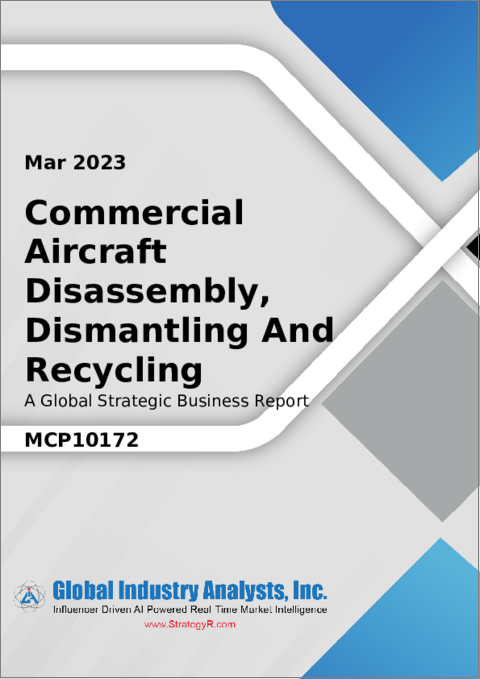 表紙：民間航空機の解体・分解・リサイクルの世界市場
