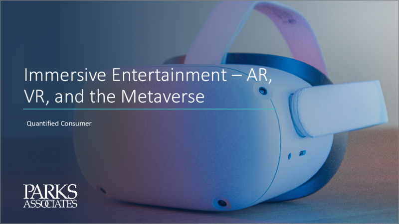 表紙：没入型エンターテインメント：AR (拡張現実)、VR (仮想現実)、メタバース