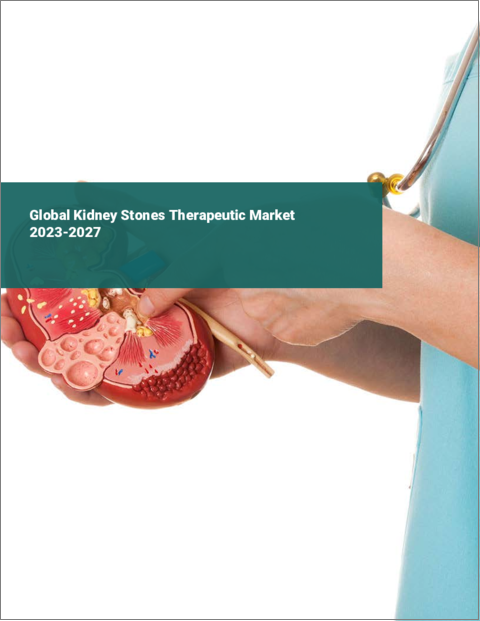 表紙：腎臓結石治療の世界市場 2023-2027