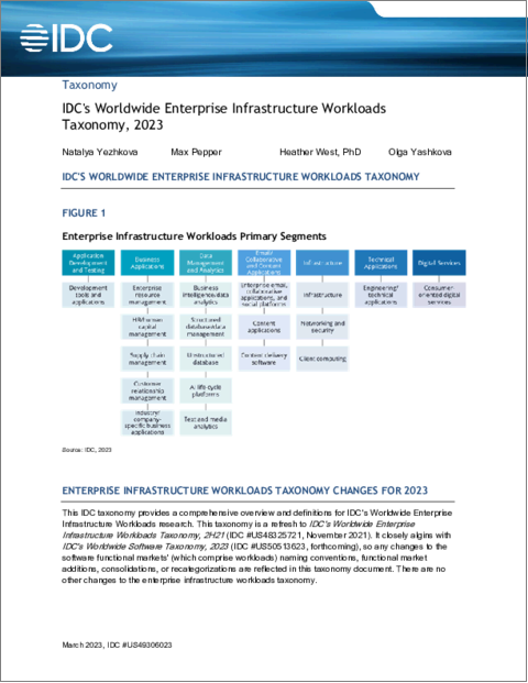表紙：IDCのWorldwide Enterprise Infrastructure Workloads：分類法 (2023年)
