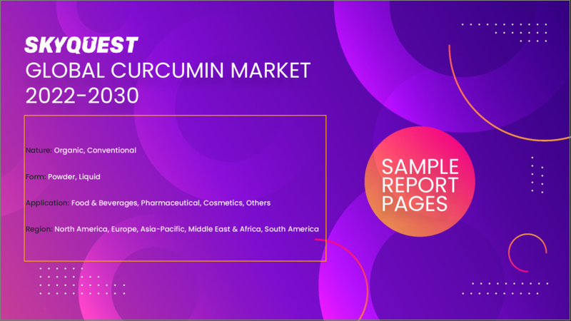 表紙：クルクミンの世界市場 (2022-2028年)：性質 (有機品・従来品)・形態 (粉末・液体)・用途 (食品&飲料・医薬品) 別の規模・シェア・成長分析・予測