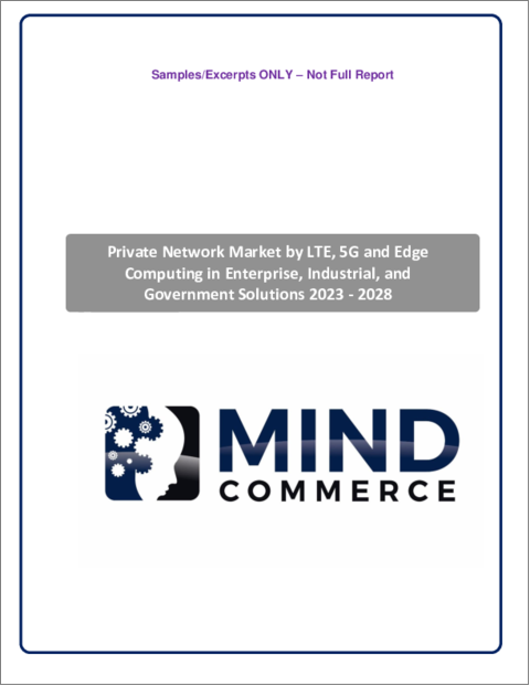 表紙：企業・産業・政府向けソリューションにおけるLTE・5G・エッジコンピューティングによるプライベートネットワーク市場：2023年～2028年
