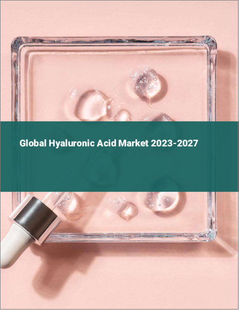 表紙：ヒアルロン酸の世界市場 2023-2027