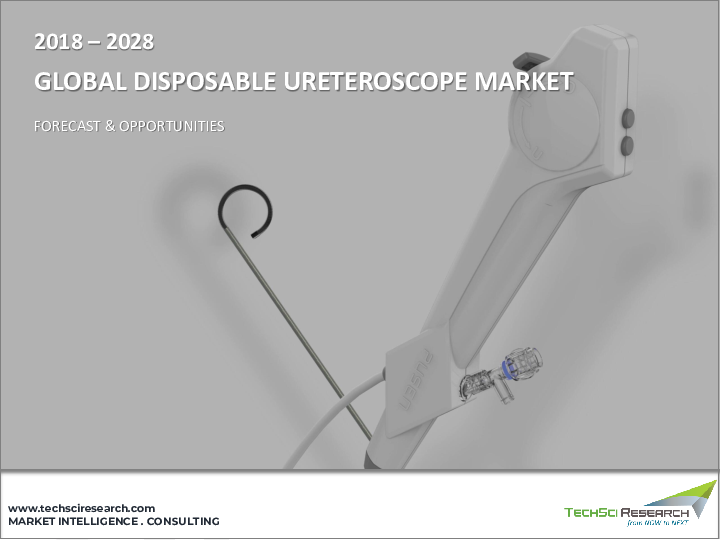 表紙：使い捨て尿管鏡市場- 世界の産業規模、シェア、動向、機会、予測、2018年～2028年、製品タイプ別、用途別、エンドユーザー別、地域別、競合
