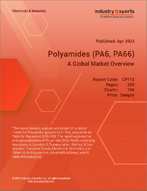 表紙：ポリアミド (PA6, PA66)：世界市場の概要