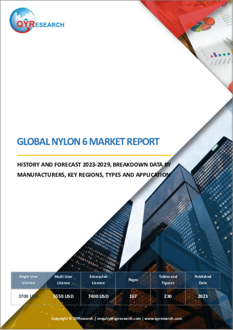 表紙：ナイロン6の世界市場：分析・実績・予測 (2023年～2029年)
