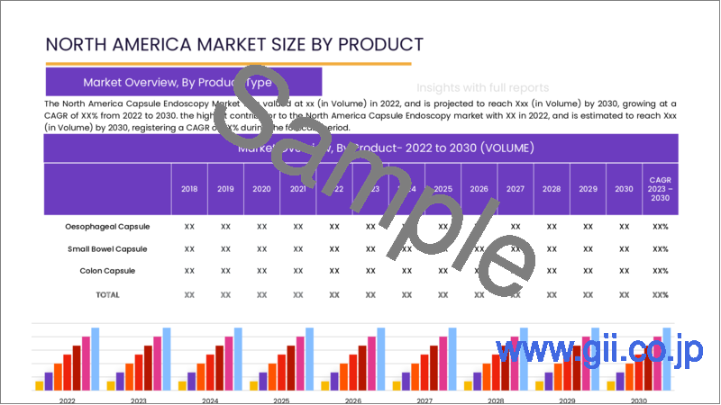 サンプル2：カプセル内視鏡の世界市場 (2022-2028年)：製品・用途・エンドユーザー別の規模・シェア・成長分析・予測