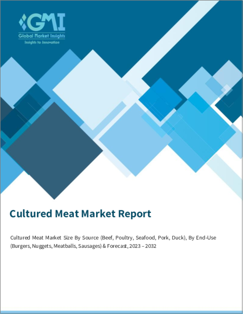 表紙：培養肉の市場規模：ソース別（牛肉、鶏肉、シーフード、豚肉、鴨肉）、エンドユーザー別（バーガー、ナゲット、ミートボール、ソーセージ）、予測2023年～2032年