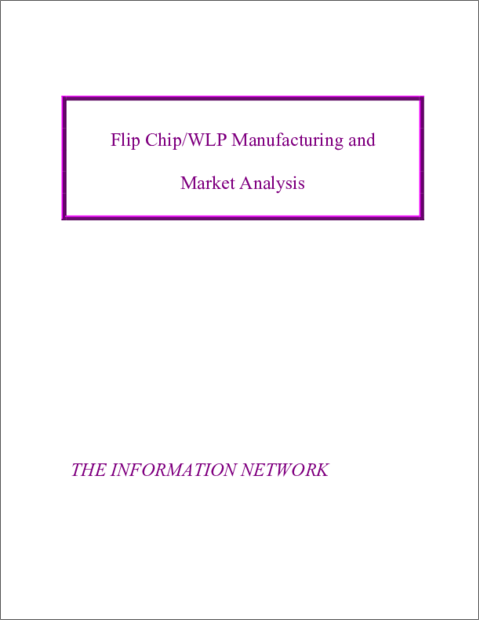 表紙：フリップチップ/WLPの製造と市場分析