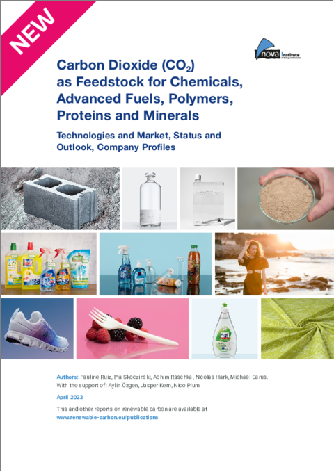 表紙：化学品、先進燃料、ポリマー、タンパク質、鉱物の原料としての二酸化炭素（CO2）：技術と市場、現状と展望、企業プロファイル