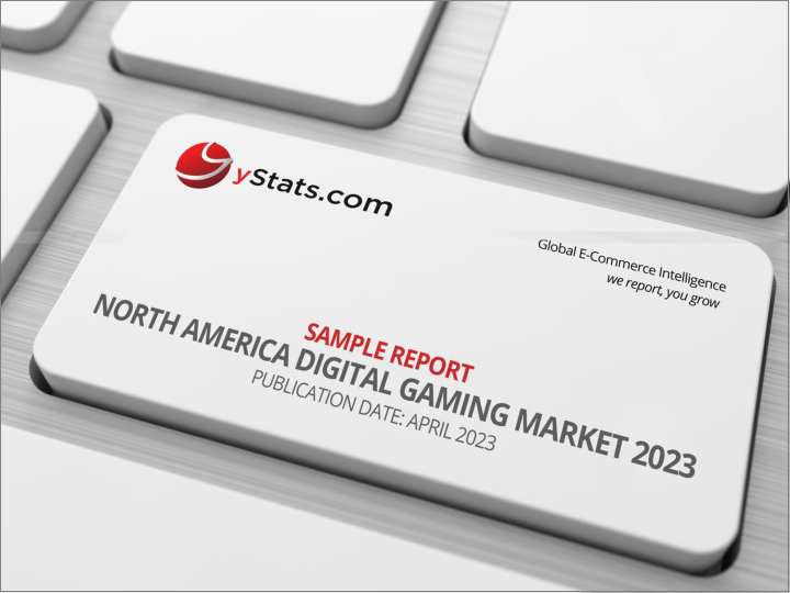 表紙：北米のデジタルゲーミング市場：2023年
