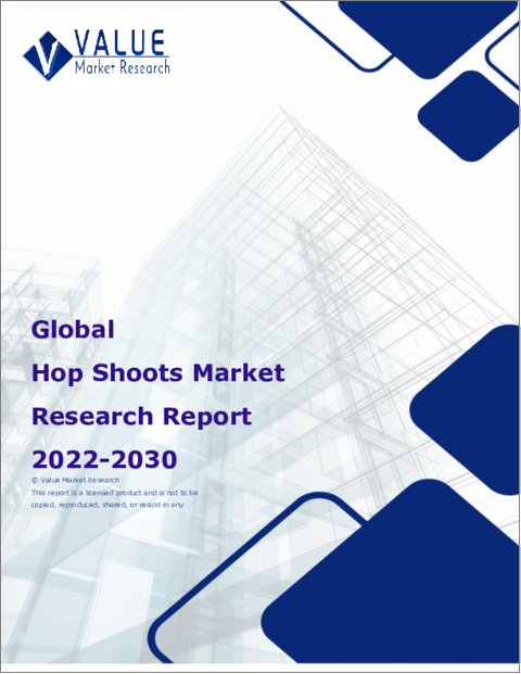 表紙：ホップシュートの世界市場調査レポート-産業分析、規模、シェア、成長、動向、2023年から2030年までの予測