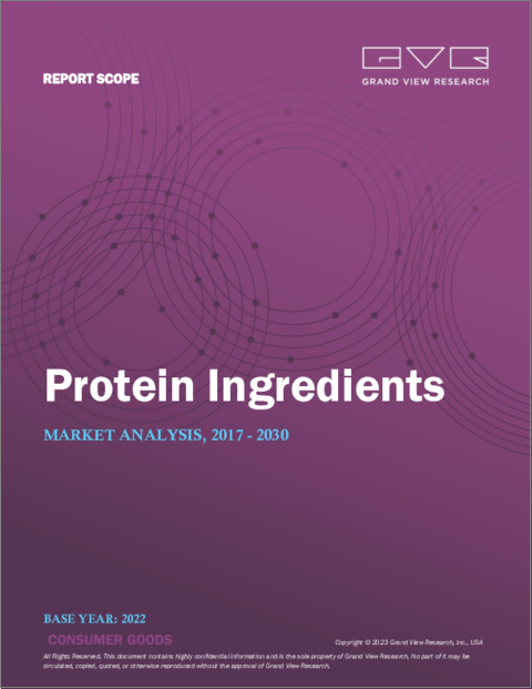 表紙：タンパク質原料の市場規模、シェア、動向分析レポート：製品別（植物タンパク質、動物/乳製品タンパク質、微生物由来タンパク質、昆虫タンパク質）、用途別（食品/飲食品）、地域別、セグメント別予測、2023年～2030年