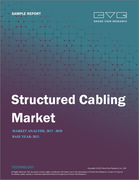 表紙：構造化ケーブルの市場規模、シェア、動向分析レポート：製品タイプ別（銅ケーブル、光ファイバーケーブル）、用途別（LAN、データセンター）、業種別、地域別、セグメント別予測、2023年～2030年