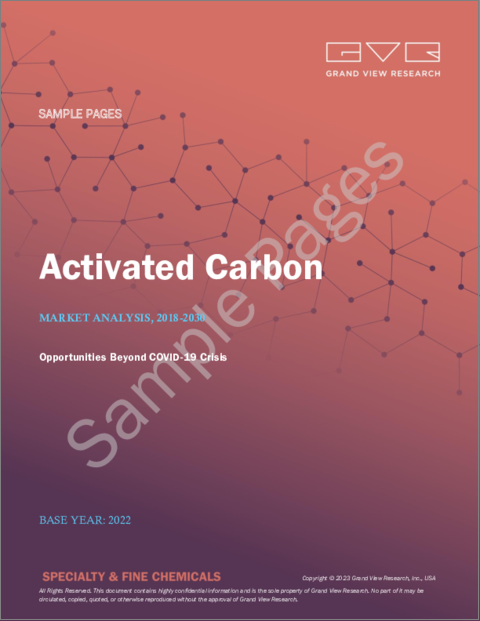 表紙：活性炭の市場規模、シェア、動向分析レポート：タイプ別（粉末、粒状）、用途別（液相、気相）、最終用途別（水処理、空気清浄）、地域別、セグメント別予測、2023～2030年