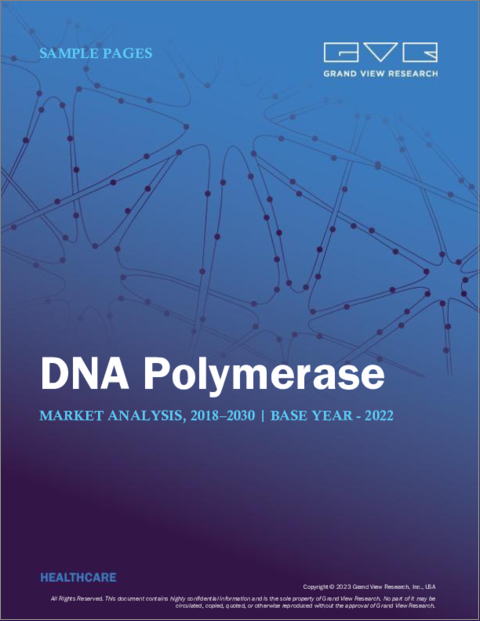 表紙：DNAポリメラーゼの市場規模、シェア、動向分析レポート、タイプ別（Taqポリメラーゼ、Pfuポリメラーゼ、独自酵素ブレンド）、用途別、最終用途別、地域別、セグメント別予測、2023～2030年