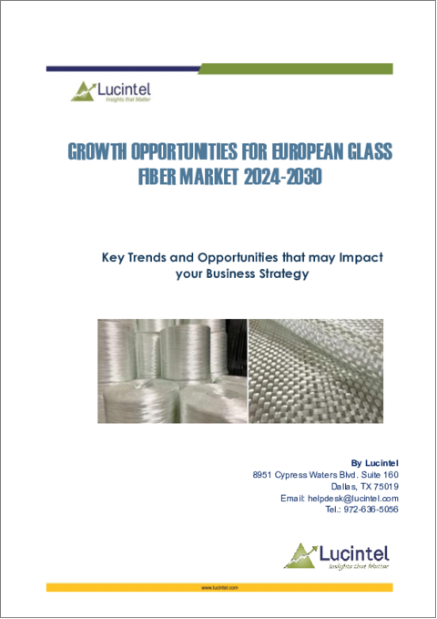 表紙：ガラス繊維の欧州市場：動向、機会、競合分析（2023年～2028年）