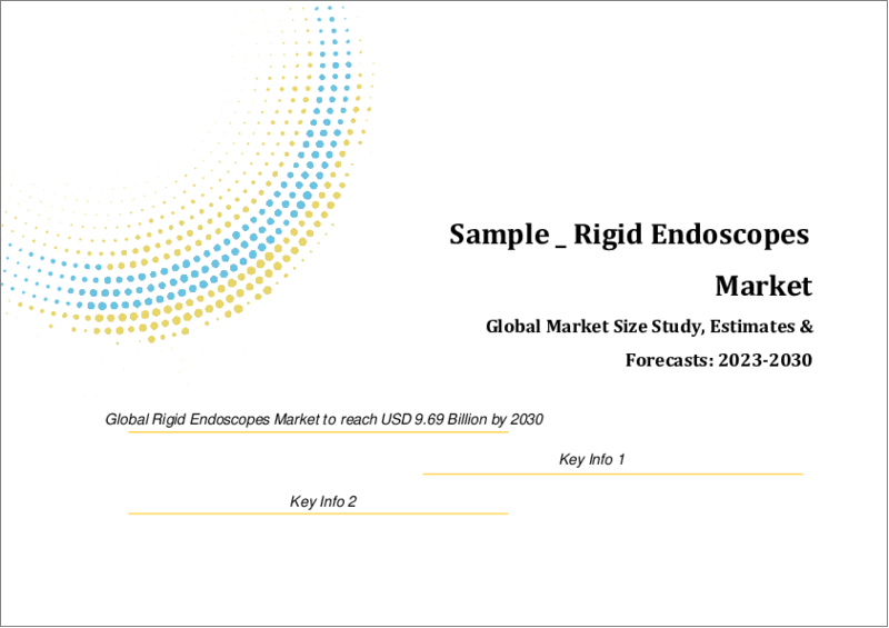 表紙：硬性内視鏡の世界市場規模調査＆予測、製品別、エンドユース別、地域別分析、2022-2029年
