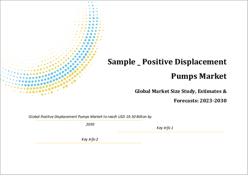 表紙：世界の容積式ポンプ市場規模調査＆予測、タイプ別（往復ポンプ、回転ポンプ）、用途別（石油・ガス、化学、上下水道、パルプ・紙、電力、その他）、地域別分析、2022-2029年