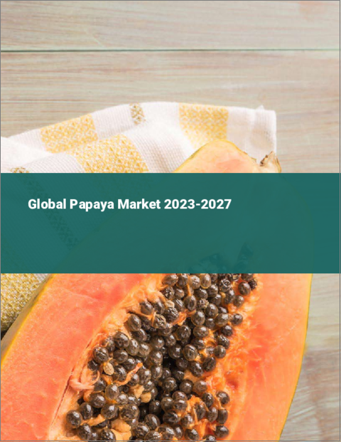 表紙：パパイヤの世界市場 2023-2027