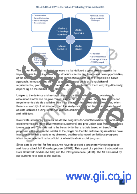 サンプル1：MALE/HALE UAVの世界市場 - 市場と技術の予測（～2031年）