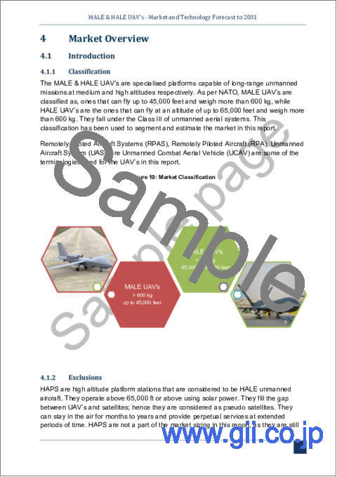 サンプル2：MALE/HALE UAVの世界市場 - 市場と技術の予測（～2031年）