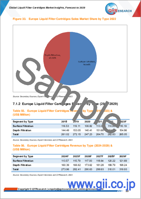 サンプル2：液体フィルターカートリッジの世界市場：考察と予測 (2029年まで)