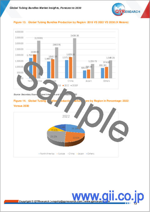サンプル1：チューブバンドルの世界市場：考察と予測 (2030年まで)