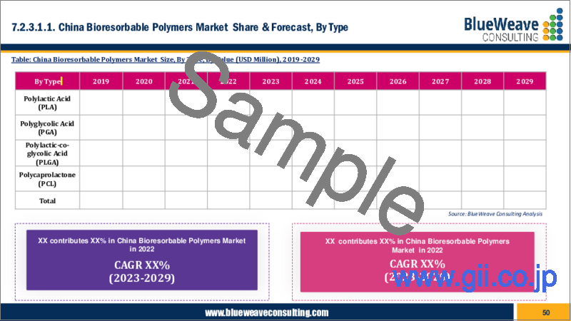 サンプル2：生体吸収性ポリマーの世界市場 - 市場規模、シェア、動向分析、機会、予測：タイプ別、用途別、地域別（2019年～2029年）