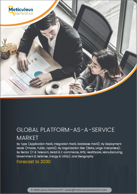 表紙：Platform-as-a-Service (PaaS) の世界市場 (～2030年)：タイプ・導入モード・産業別