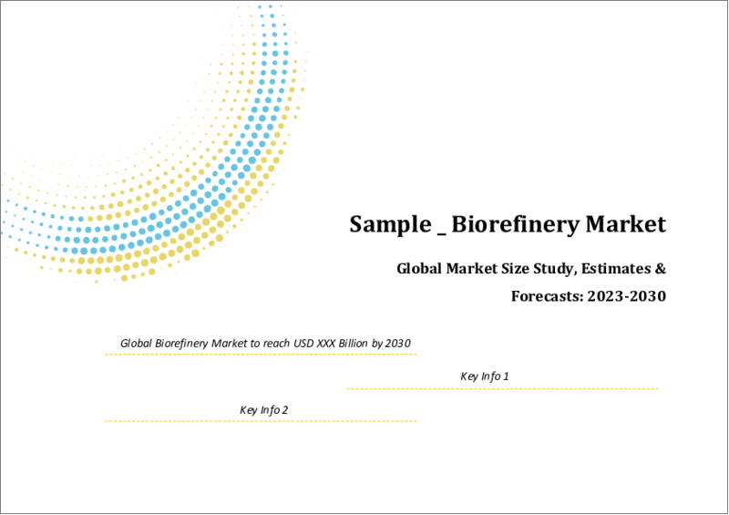 表紙：バイオリファイナリーの世界市場規模の調査・予測：原料別、プロセス別、製品別、地域別分析、2022-2029年
