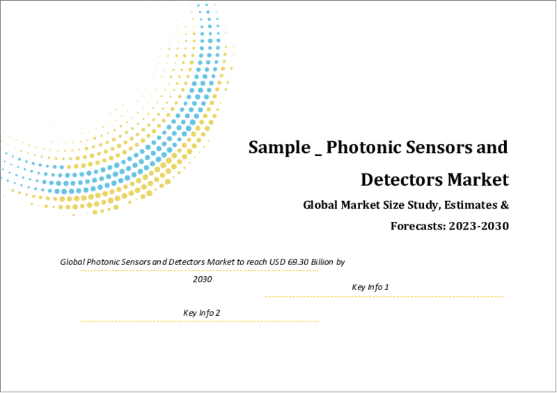表紙：フォトニックセンサーとディテクターの世界市場規模調査＆予測、製品別、用途別、地域別分析、2022-2029年