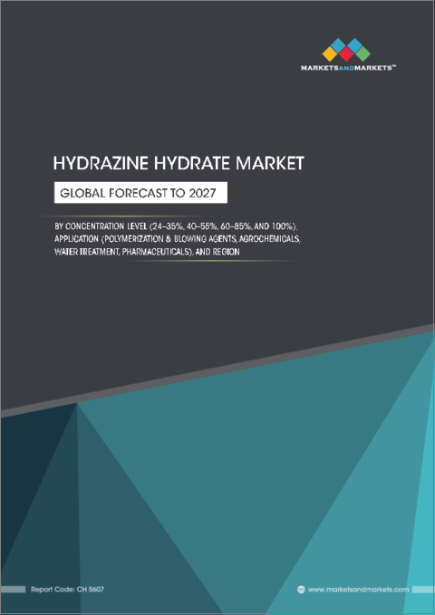 表紙：ヒドラジン水和物の世界市場：濃度別 (24%～35%、40%～55%、60%～85%、100%)・用途別 (重合剤・発泡剤、医薬品、農薬、水処理)・地域別 (アジア太平洋、北米、欧州) の将来予測 (2027年まで)