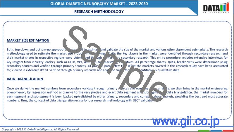 サンプル2：糖尿病性神経障害の世界市場- 2023-2030年