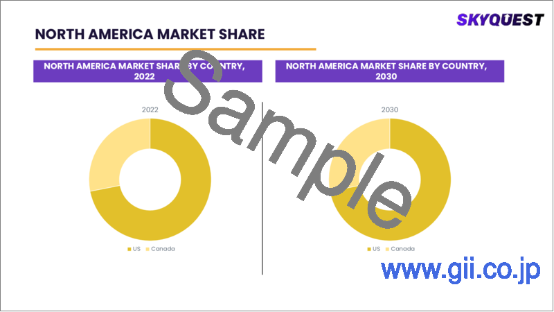 サンプル2：スケートボードの世界市場の規模、シェア、成長分析：製品別、エンドユーザー別 - 産業予測（2023年～2030年）