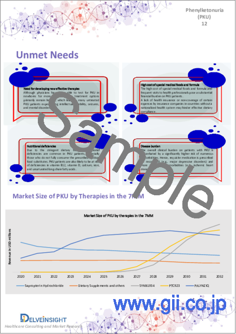 サンプル1：フェニルケトン尿症市場 - 市場の洞察、疫学、市場予測：2032年