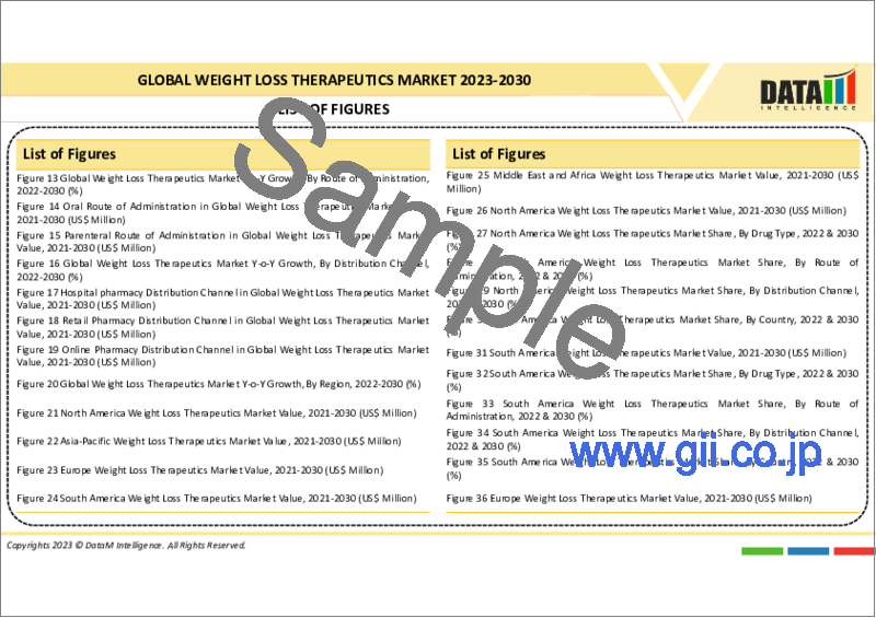 サンプル1：減量治療の世界市場：2023-2030