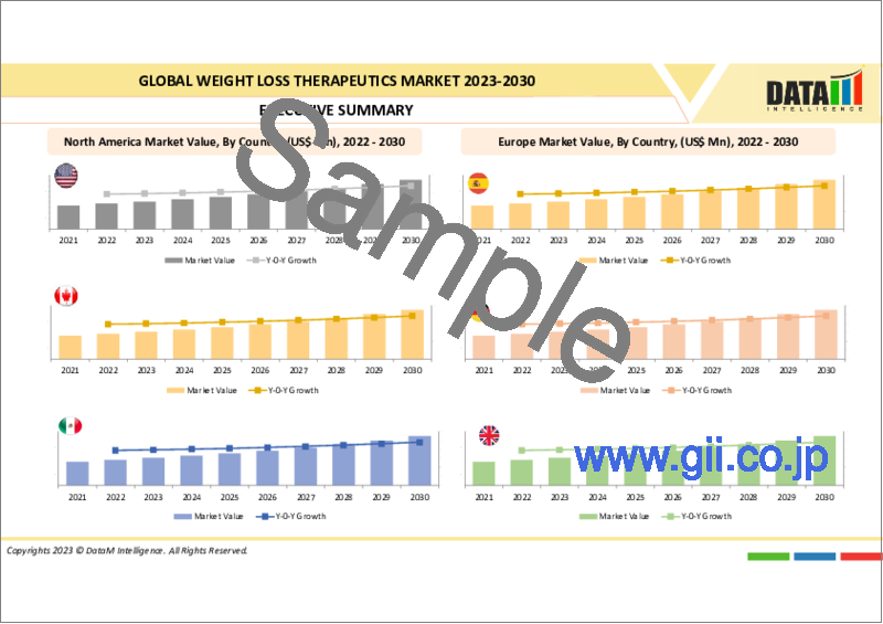 サンプル2：減量治療の世界市場：2023-2030
