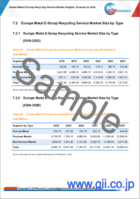 サンプル2：金属Eスクラップリサイクルサービスの世界市場の考察、予測（～2029年）