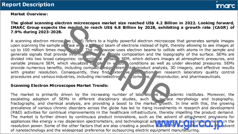 サンプル1：走査型電子顕微鏡（SEM）市場：世界の産業動向、シェア、規模、成長機会、2023-2028年予測
