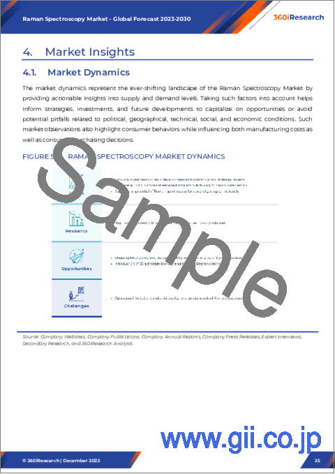 サンプル2：ラマン分光分析市場：タイプ別、サンプリング手法別、用途別  -2023～2030年の世界予測