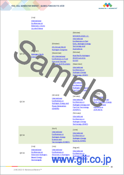 サンプル2：燃料電池発電機の世界市場：エンドユーザー別 (海洋、水産養殖、建設、農業、データセンター、緊急対応発電機)・サイズ別 (小型 (200kWi以下)、大型 (200kW以上))・燃料の種類別 (水素、アンモニア、メタノール)・地域別の将来予測 (2030年まで)