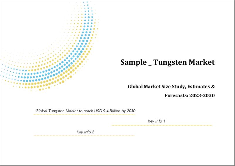 表紙：タングステンの世界市場規模調査＆予測：タイプ別、用途別、形態別、地域別分析、2023-2030年