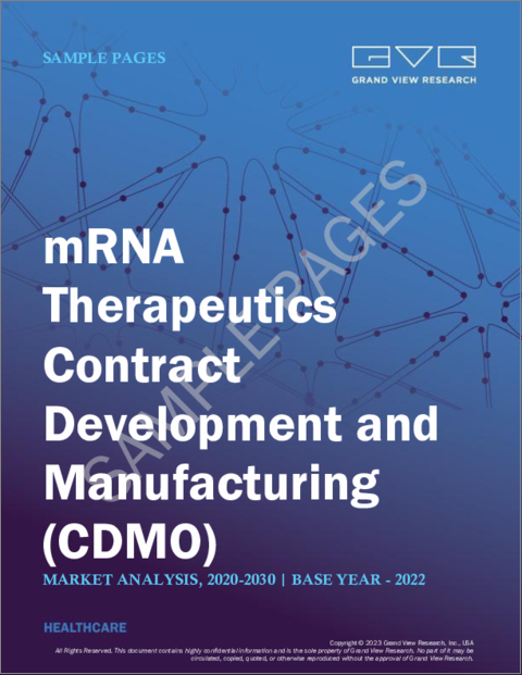表紙：mRNA治療薬の受託開発・製造市場規模、シェア、動向分析レポート：用途別、適応症別、最終用途別、地域別、セグメント予測、2023年～2030年