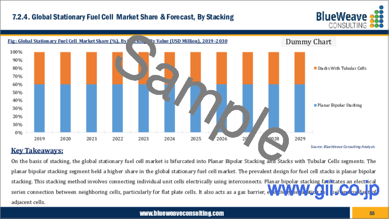 サンプル1：定置用燃料電池市場：世界の市場規模、シェア、動向分析、機会、予測レポート、2019-2029年