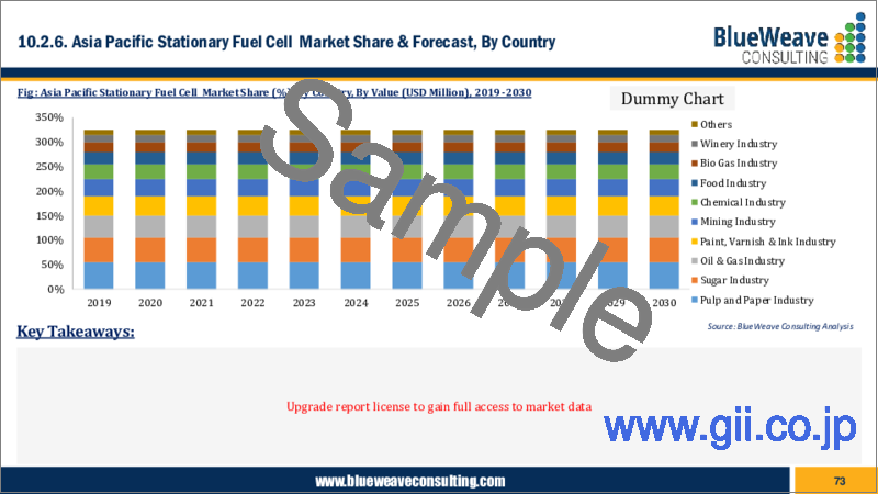 サンプル2：定置用燃料電池市場：世界の市場規模、シェア、動向分析、機会、予測レポート、2019-2029年