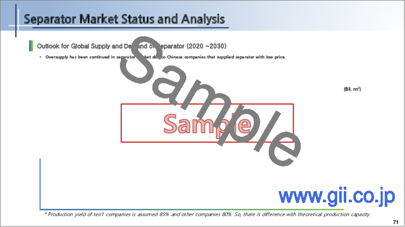 サンプル1：電池セパレーター市場の展望 (2020~2030年)：セパレーターの将来性