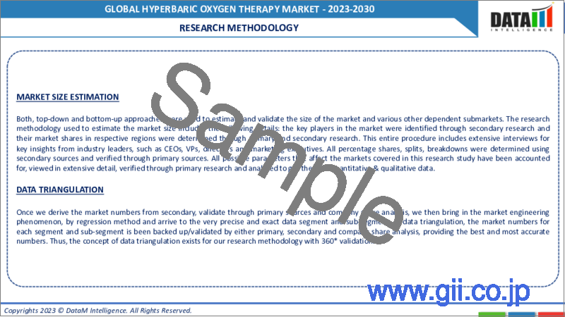 サンプル2：高気圧酸素療法の世界市場-2023年～2030年