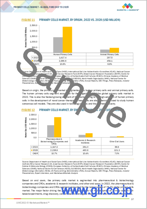 サンプル1：初代細胞の世界市場：種類別・供給源別・エンドユーザー別・地域別の将来予測 (2028年まで)